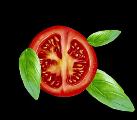 tomatoe