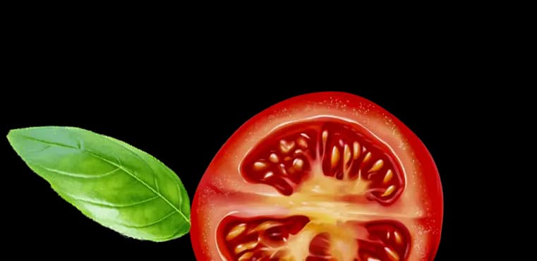 tomatoe
