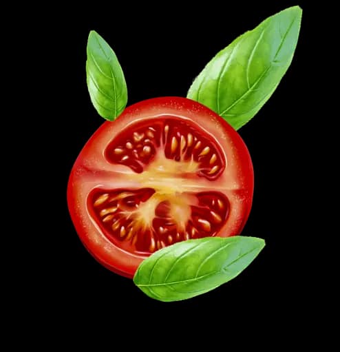 tomatoe