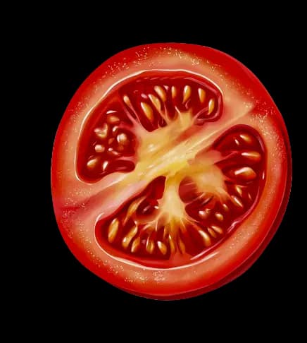 tomatoe