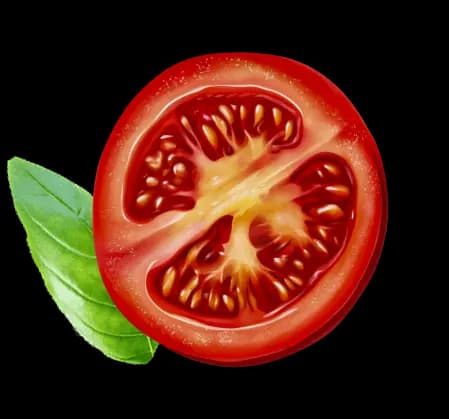tomatoe