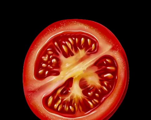 tomatoe