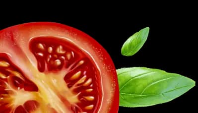 tomatoes