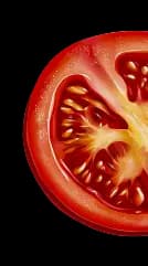 tomatoes