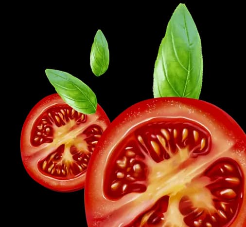 tomatoes