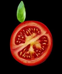 tomatoe